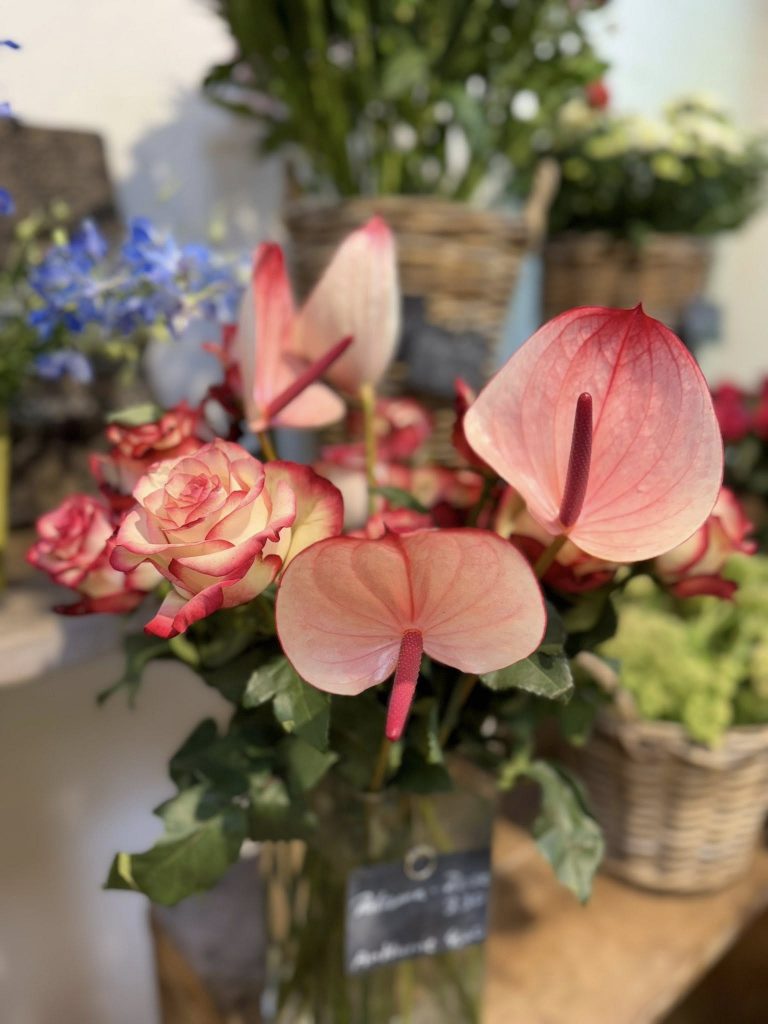 Anthurien (Anthurium) und Rosen