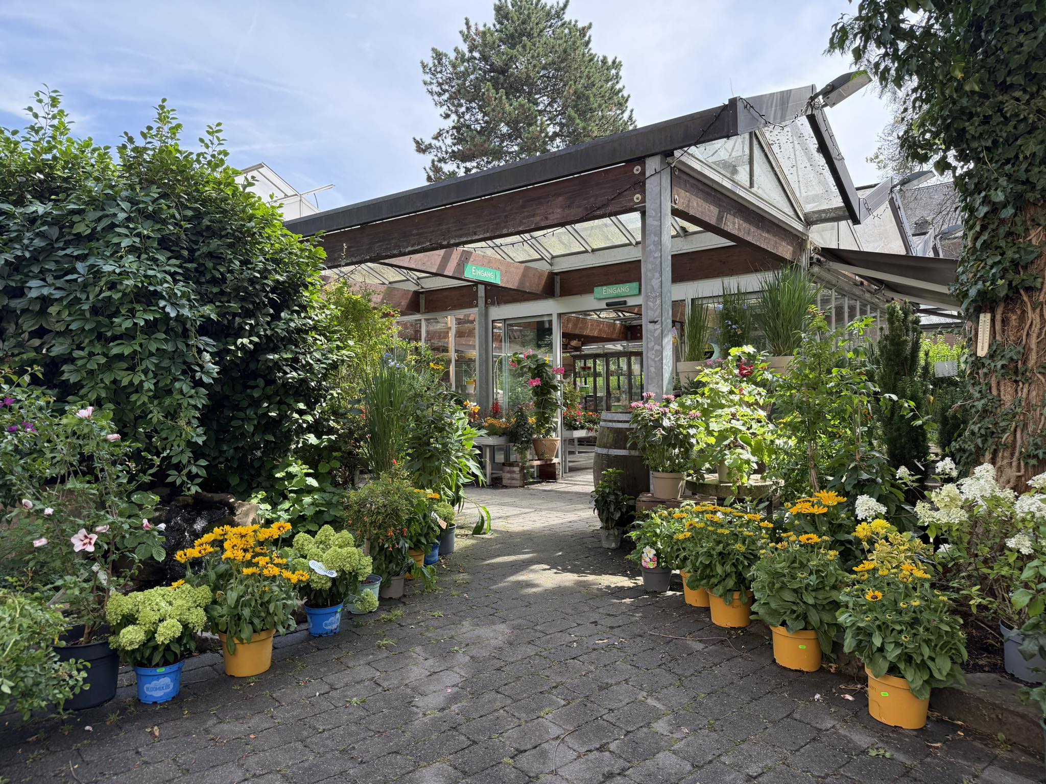 Grützner Blumenkunst Eingang Sommer