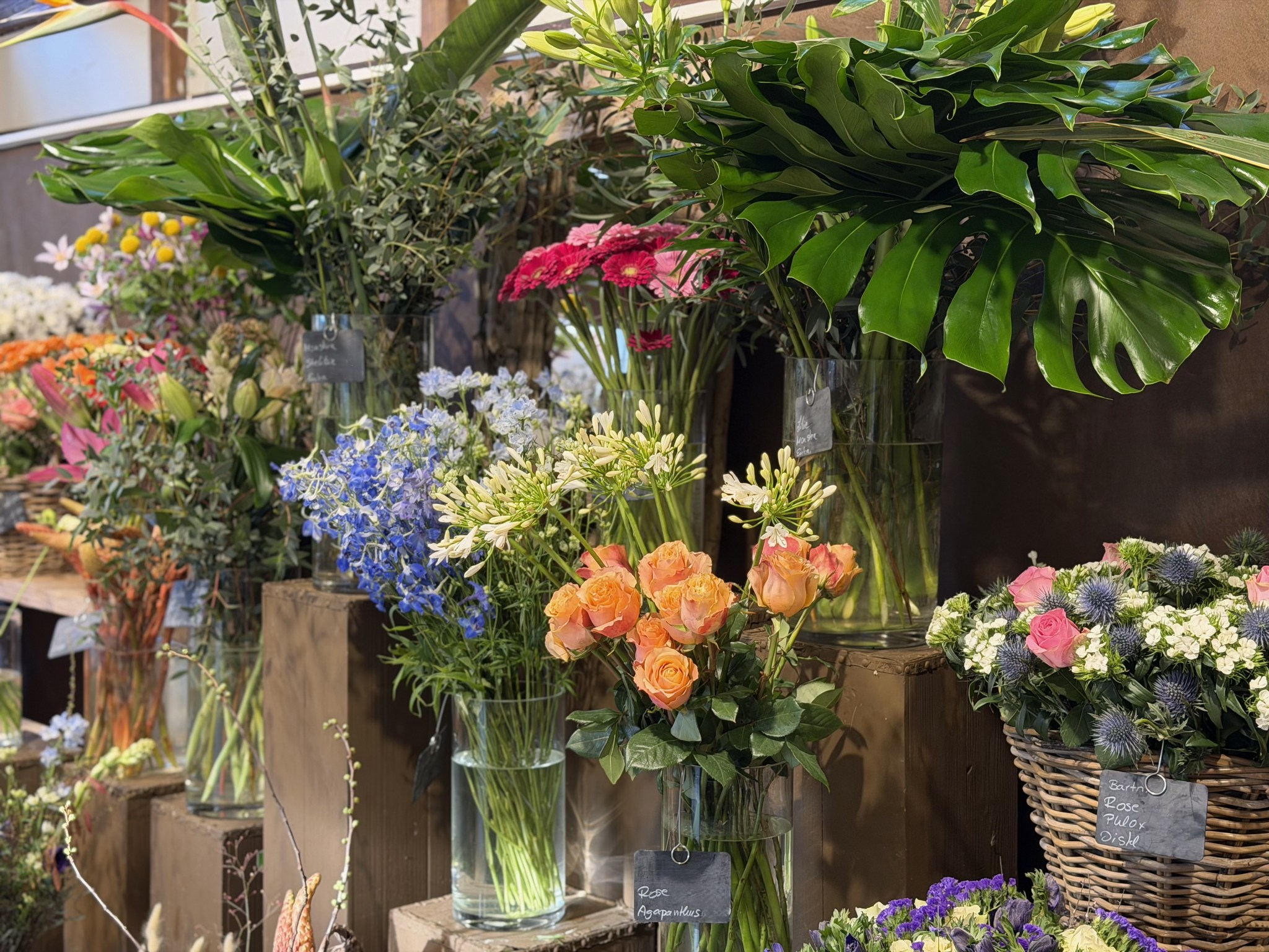 Grützner Blumenauswahl Winter-Frühling