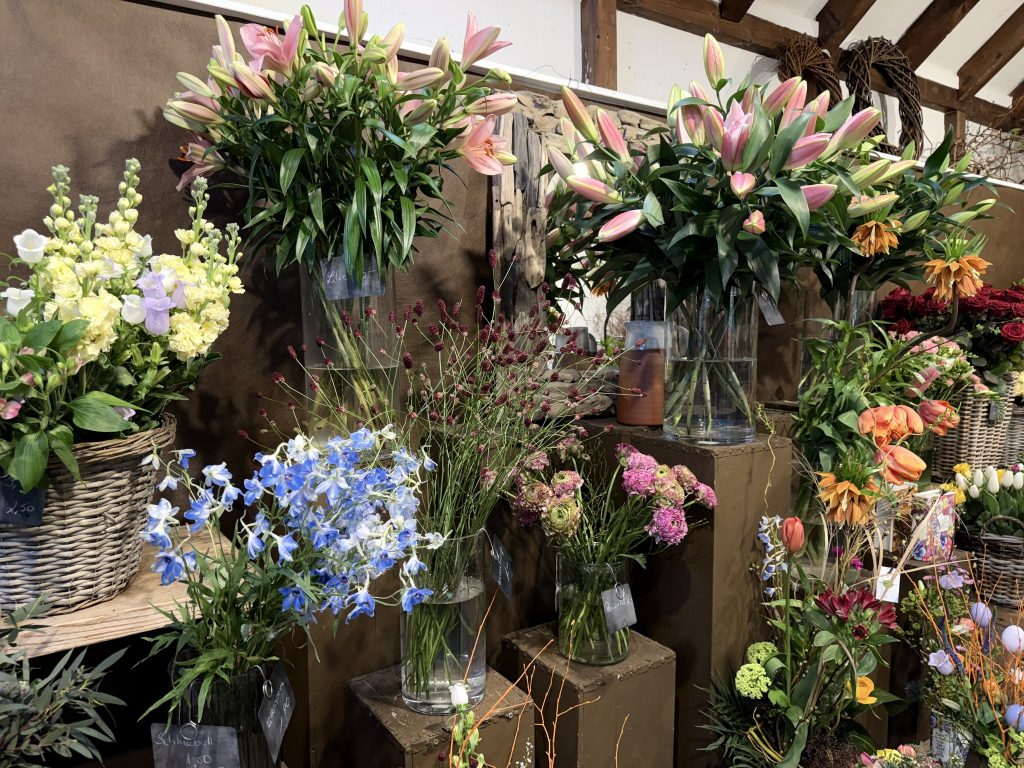 Große Auswahl an Schnittblumen