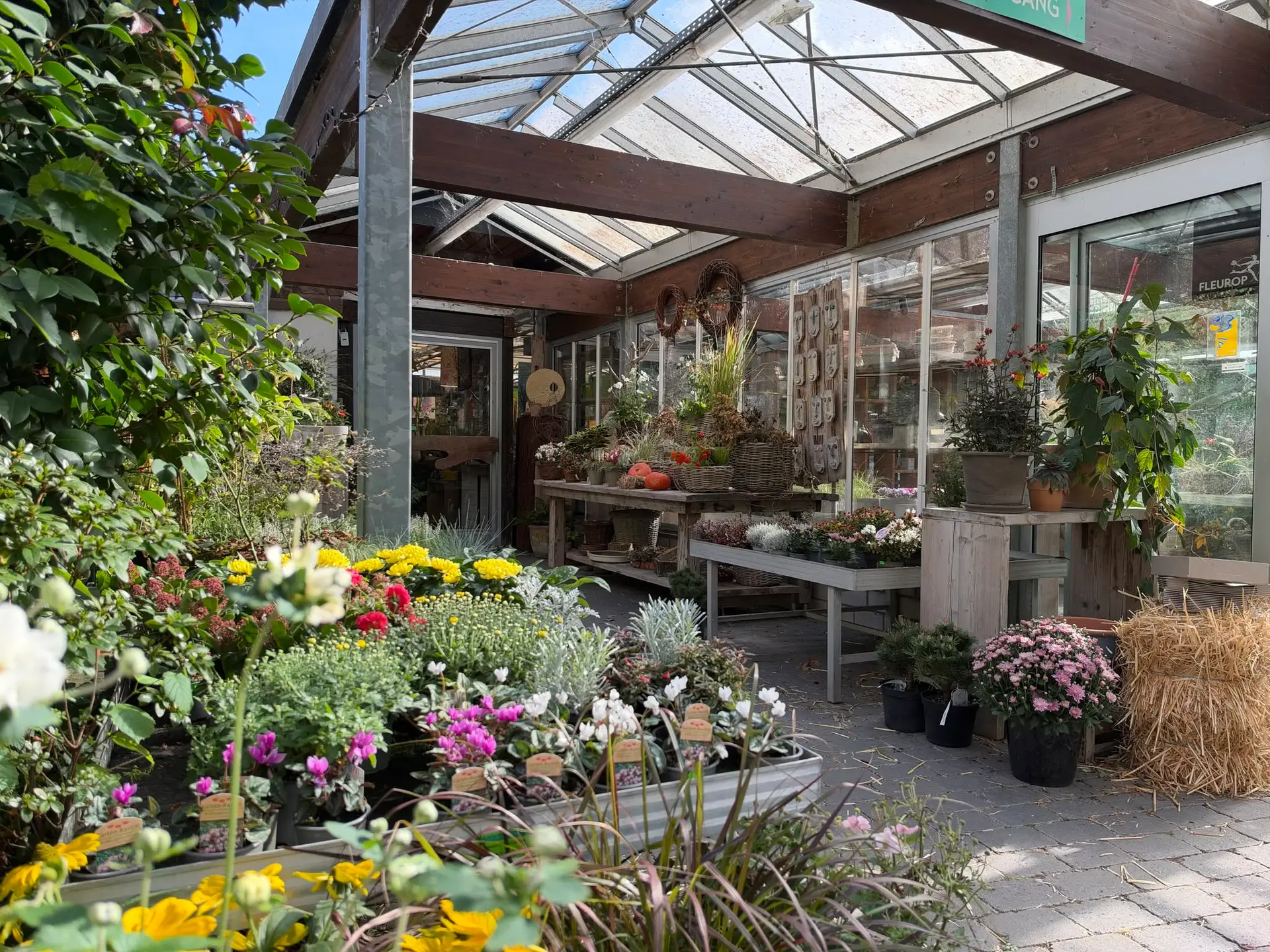 Grützner Blumenkunst Eingangsbereich