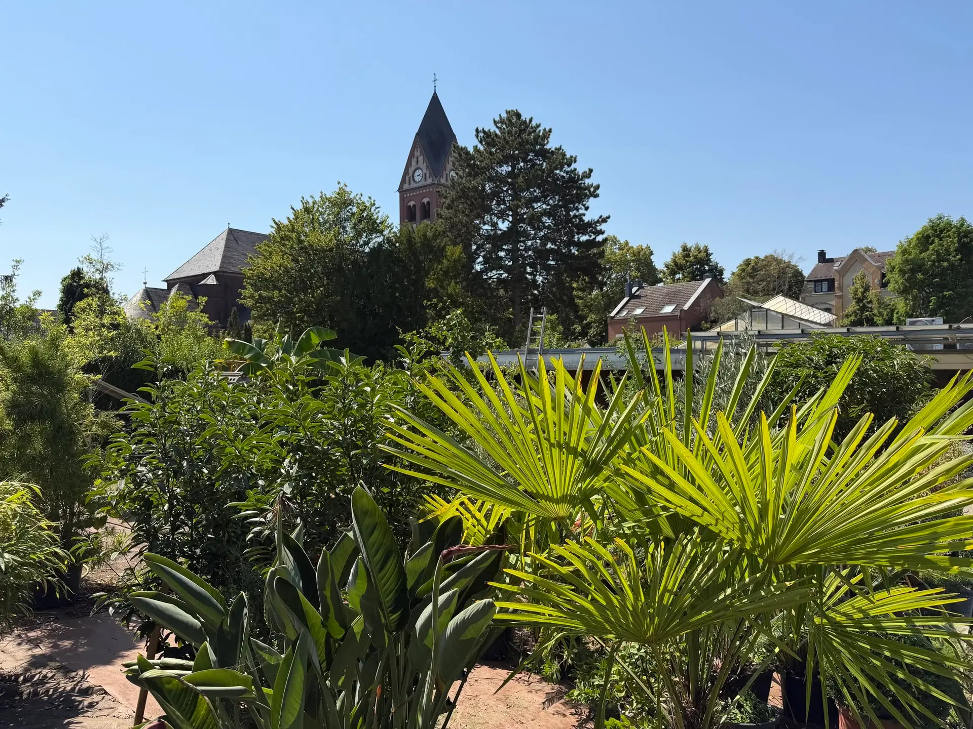 Grützner Blumenkunst mit Blick auf die Kirche in Urdenbach
